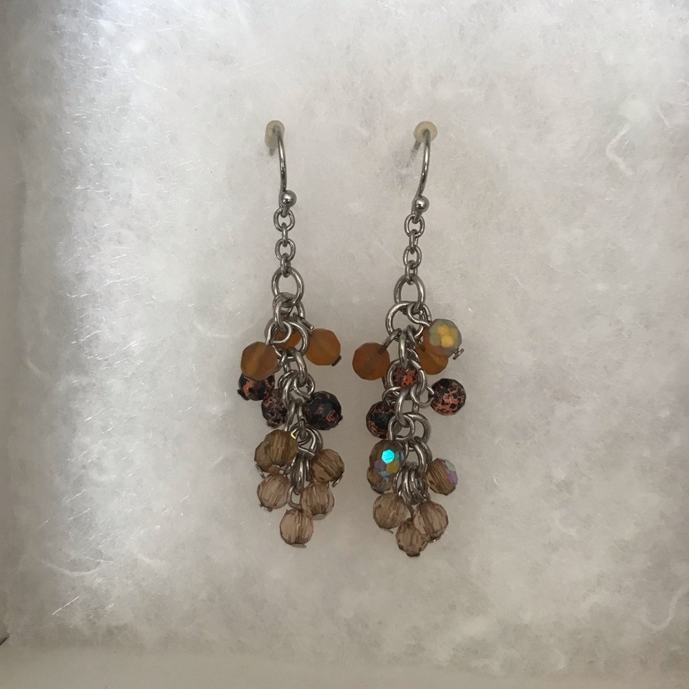 Coldwater Creek Earrings